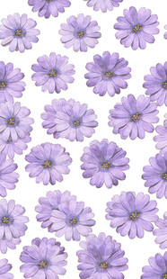 紫色小花无缝图案背景