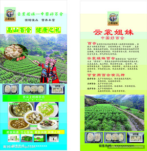 百合云雾绿茶宣传页展示