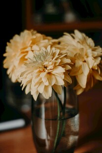 花瓶中的淡黄花朵