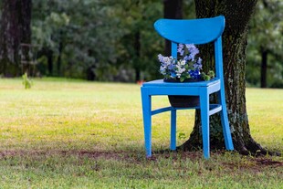 蓝椅置草地 花 添诗意