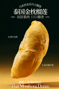 泰国金枕榴莲水果海报