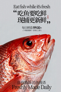 新鲜活鱼每日鲜造宣传海报