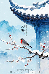 雪中红梅栖鸟大寒节气海报