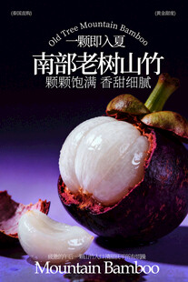南部老树山竹海报