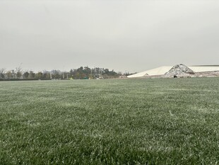 广袤绿野中的宁静农场景象