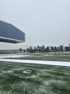 现代建筑旁的开阔绿地