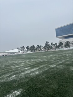 户外开阔草地与远处建筑