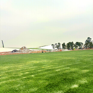 广阔绿草地与远处建筑景观