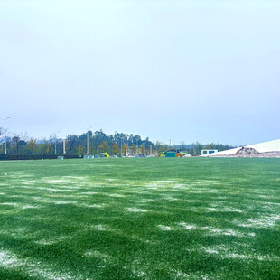 广阔绿茵草地风景