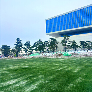 现代建筑前的翠绿草坪