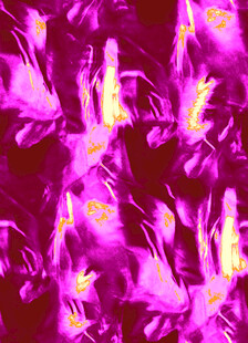 梦幻紫色花卉图案