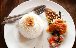 美味米饭搭配多样菜肴