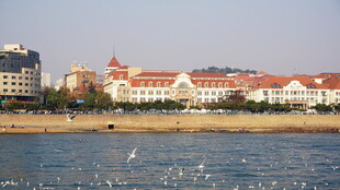青岛海边的建筑景观