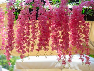 垂吊粉色花卉浪漫景致