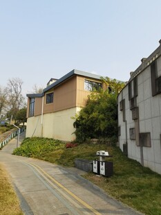 住宅区道路旁的建筑景观