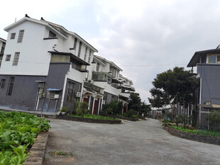 乡村独栋住宅景观