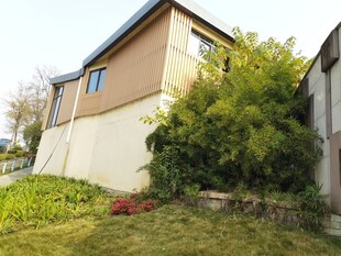 独栋房屋周边绿植景观