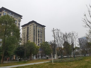 城市住宅区的宁静景致