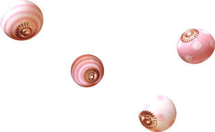 粉色贝壳散落画面