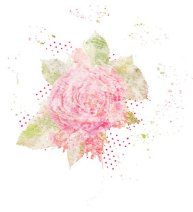 水彩粉色玫瑰花卉图案