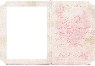 复古粉色花纹相框