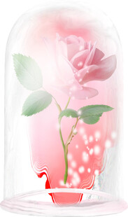 玻璃罩中的粉色玫瑰花