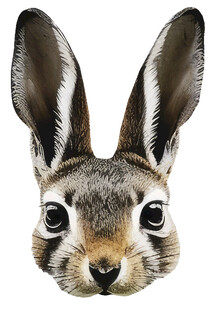 可爱野兔头部插画