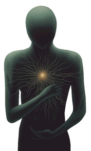 人体心脏及血管示意图