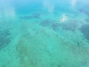 清澈海下美景 波光粼粼