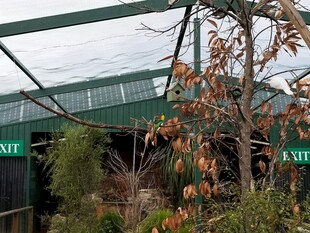 温室中的植物与标识