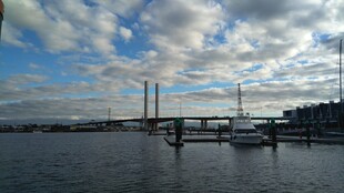 海港风光 船只停泊于码头