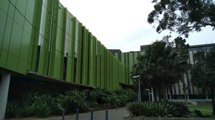 绿色建筑外观与周边绿植