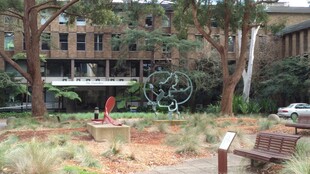 校园户外景观雕塑场景