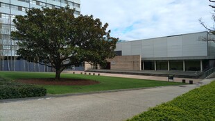 现代建筑旁的绿树与草坪