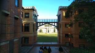 校园中拱形连桥景观