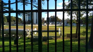 透过铁栅栏看户外景致