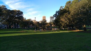 阳光照耀下的开阔绿荫草地