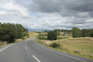蜿蜒公路旁的田园风光