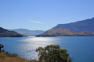 湖畔美景 远山近树两相宜