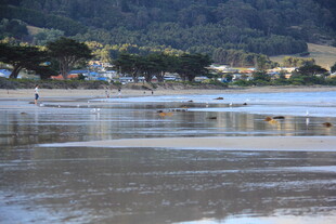 宁静海滩与远处山峦景致