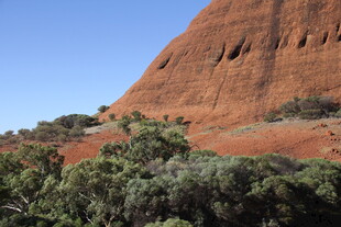 红色巨岩旁的葱郁植被