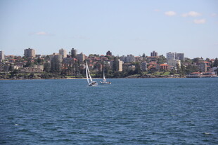 海滨城市风光 帆船游弋