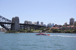 悉尼海港大桥与游船景观