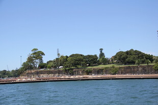 海边古老城墙与葱郁树木