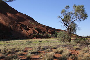 澳大利亚红岩荒野景观