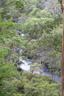 山林间的潺潺溪流