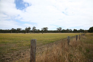 田野边的木栅栏风景