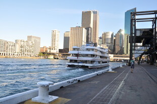 河畔游船与城市天际线