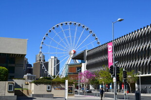 城市中的大型摩天轮景观