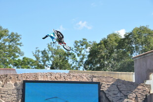 滑板者空中酷炫跳跃瞬间